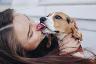 Conoce los motivos por los que tu perro te lame la cara, según psicóloga canina